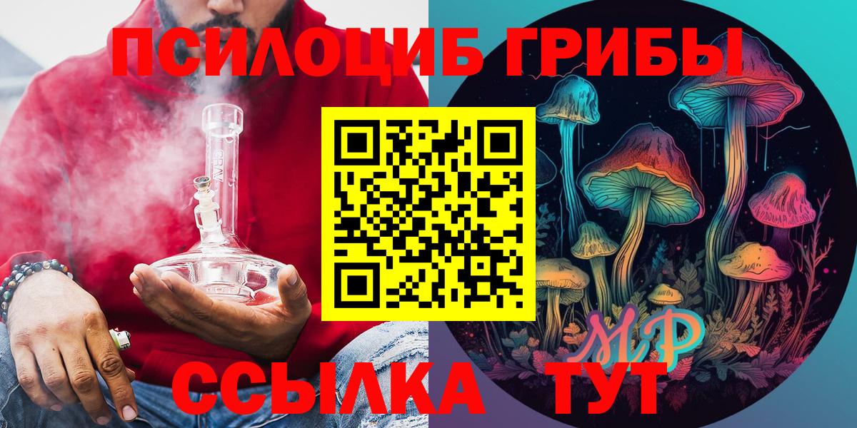 Елабуга  Псилоцибиновые грибы Psilocybe  магазин  наркотиков  Вход с VPN 